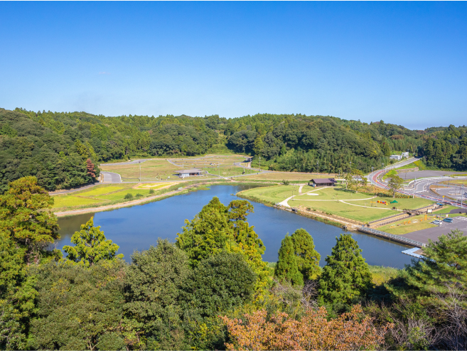 橘ふれあい公園 全景