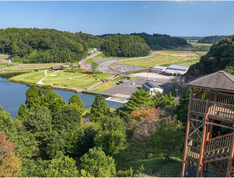 展望台から見た公園全景